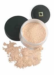Artistry Loose Powders (Medium)